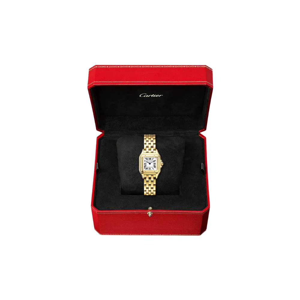 C Panthere de C W2PN0006