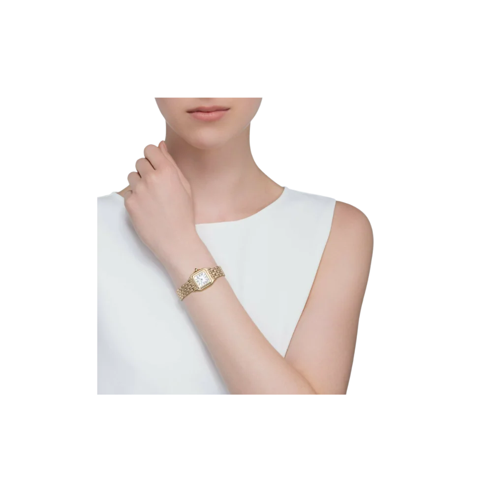 C Panthere de C W2PN0006