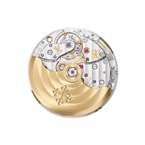 PP Aquanaut 5167R-001