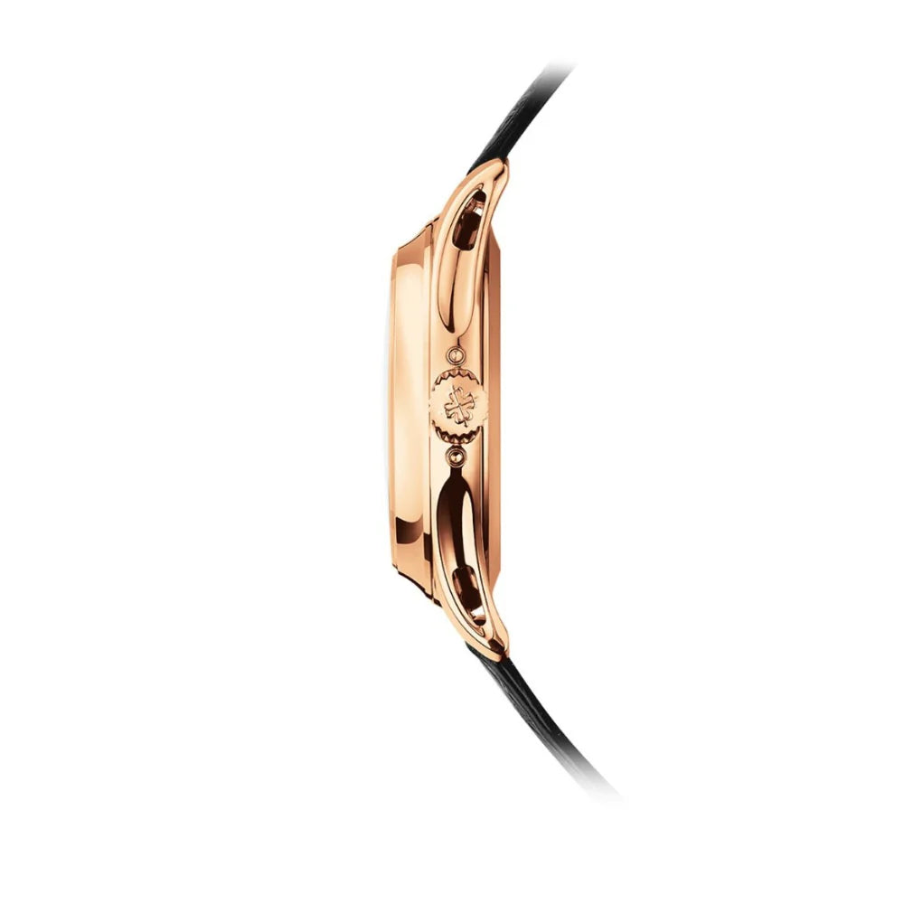 PP Complications Automatic Men's Watch 5205R-010