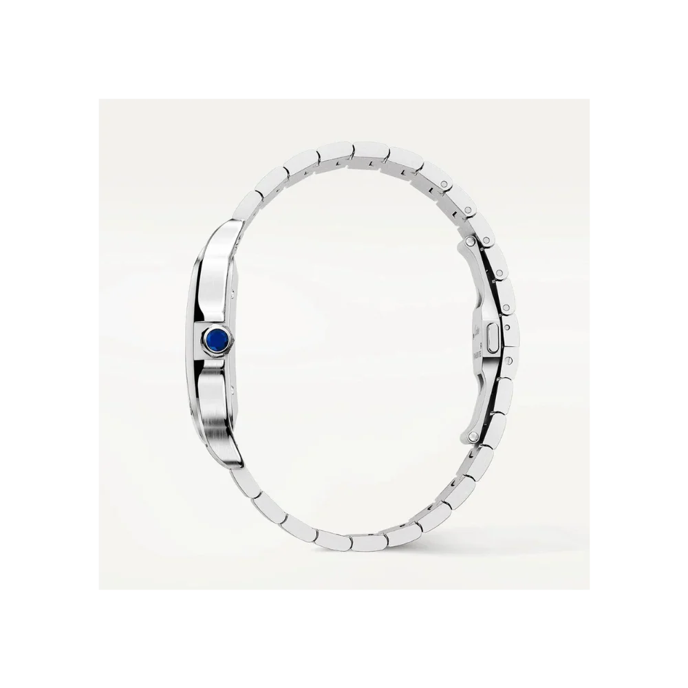 S de C Large Steel watch