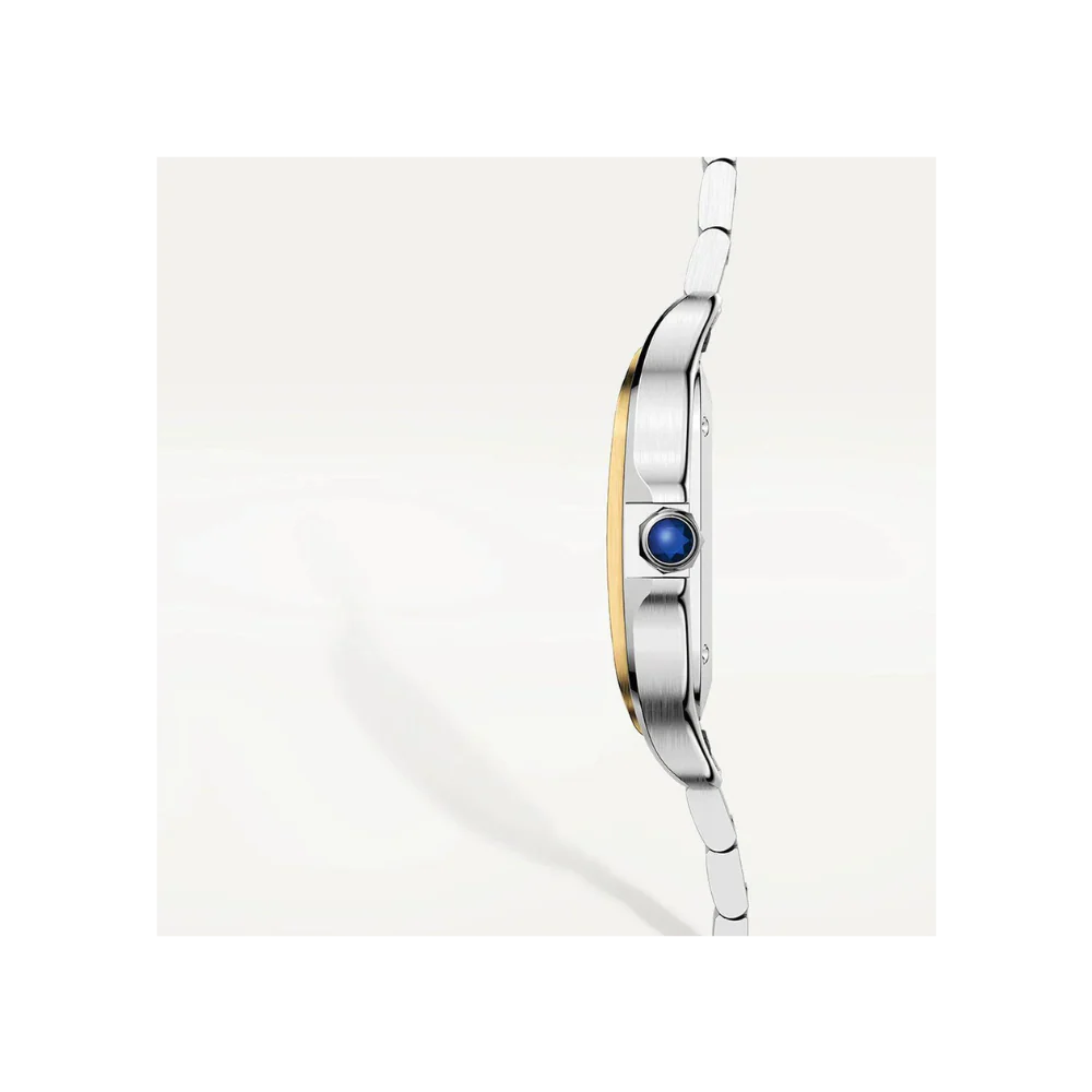 S de C Medium Bracelet/Strap Watch