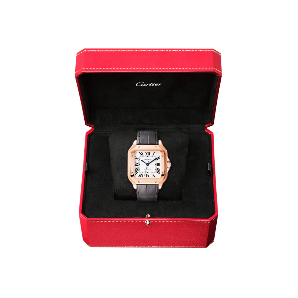 C S de C Large Automatic